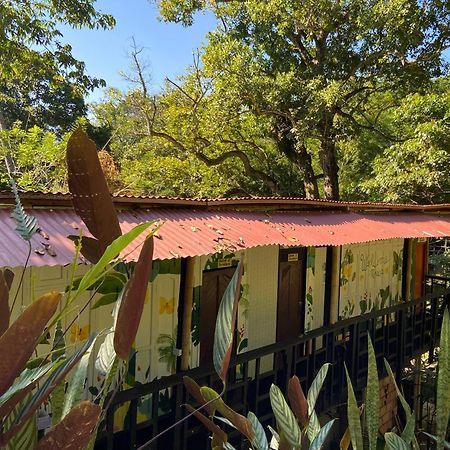 Hostal Las Mariposas مينسا المظهر الخارجي الصورة
