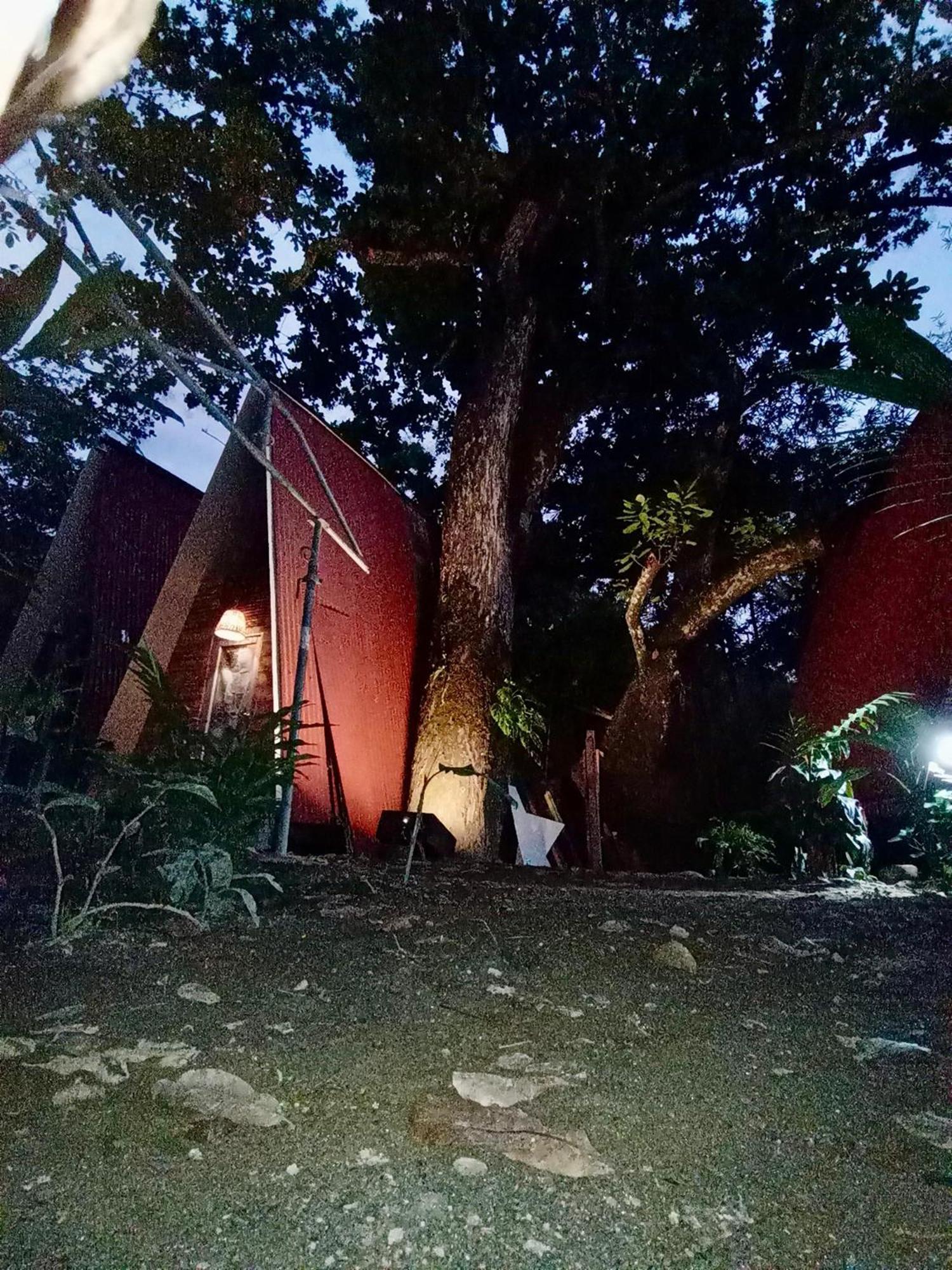 Hostal Las Mariposas مينسا المظهر الخارجي الصورة