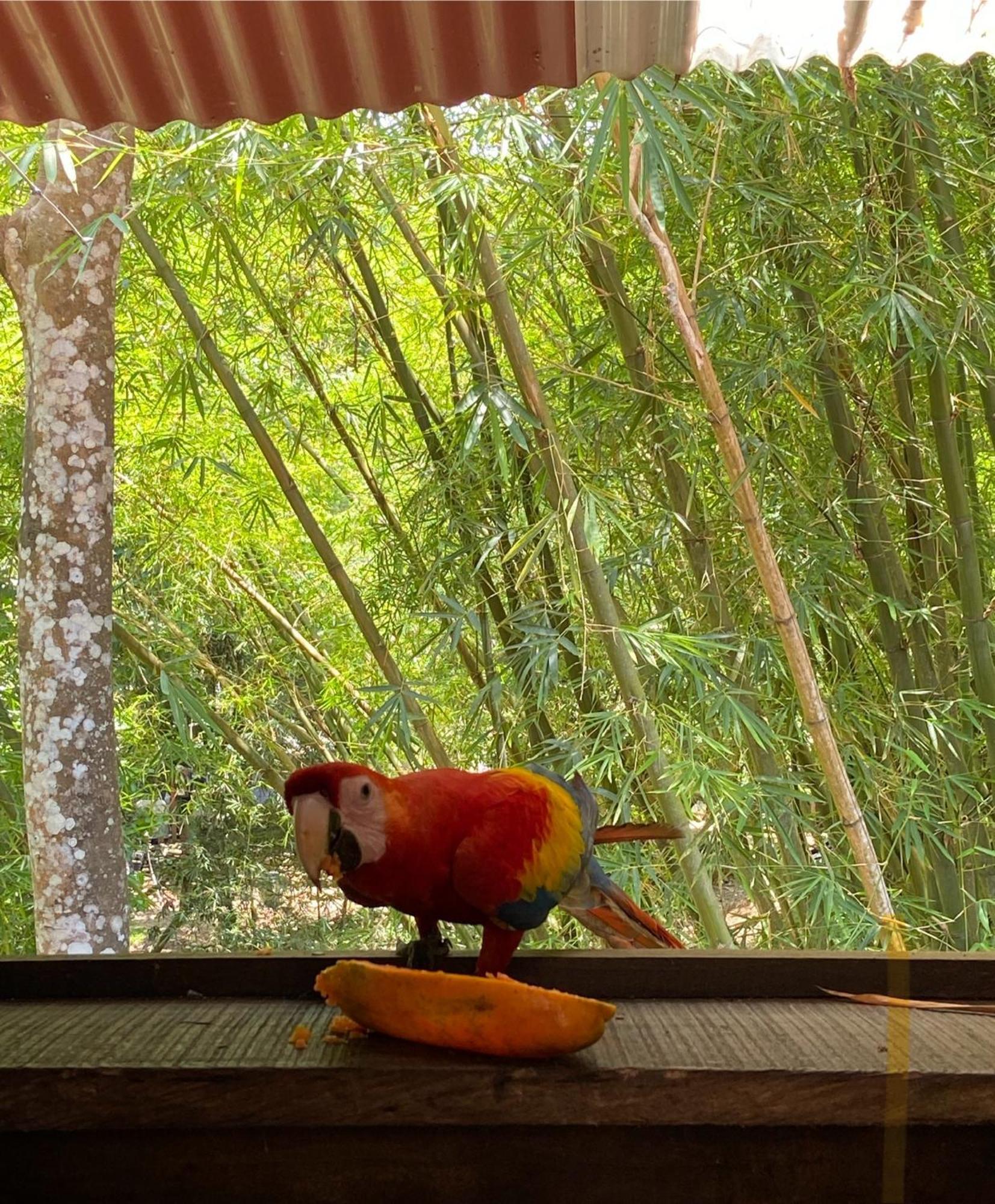 Hostal Las Mariposas مينسا المظهر الخارجي الصورة