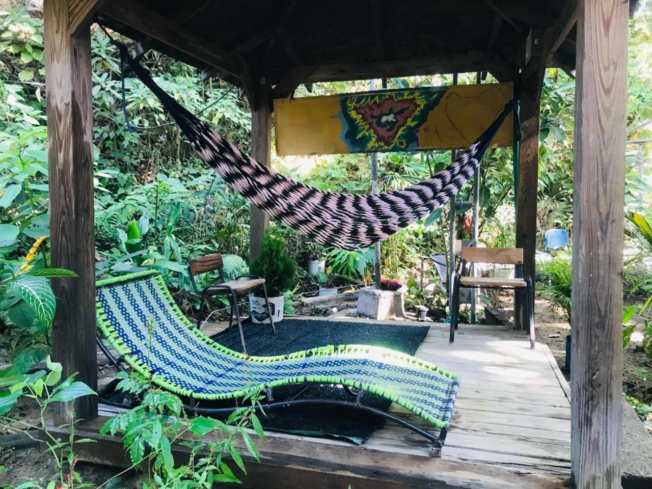 Hostal Las Mariposas مينسا المظهر الخارجي الصورة