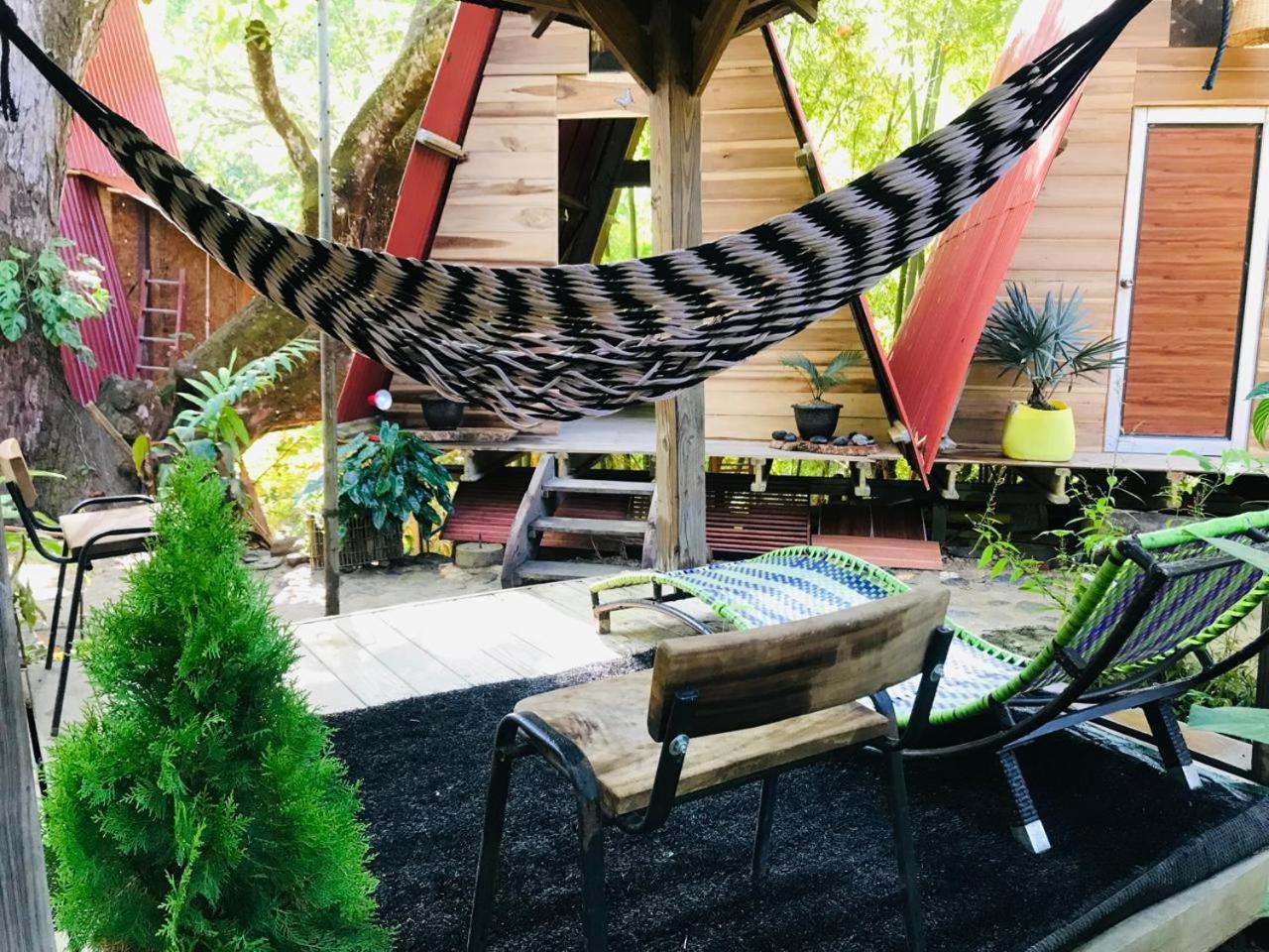 Hostal Las Mariposas مينسا المظهر الخارجي الصورة