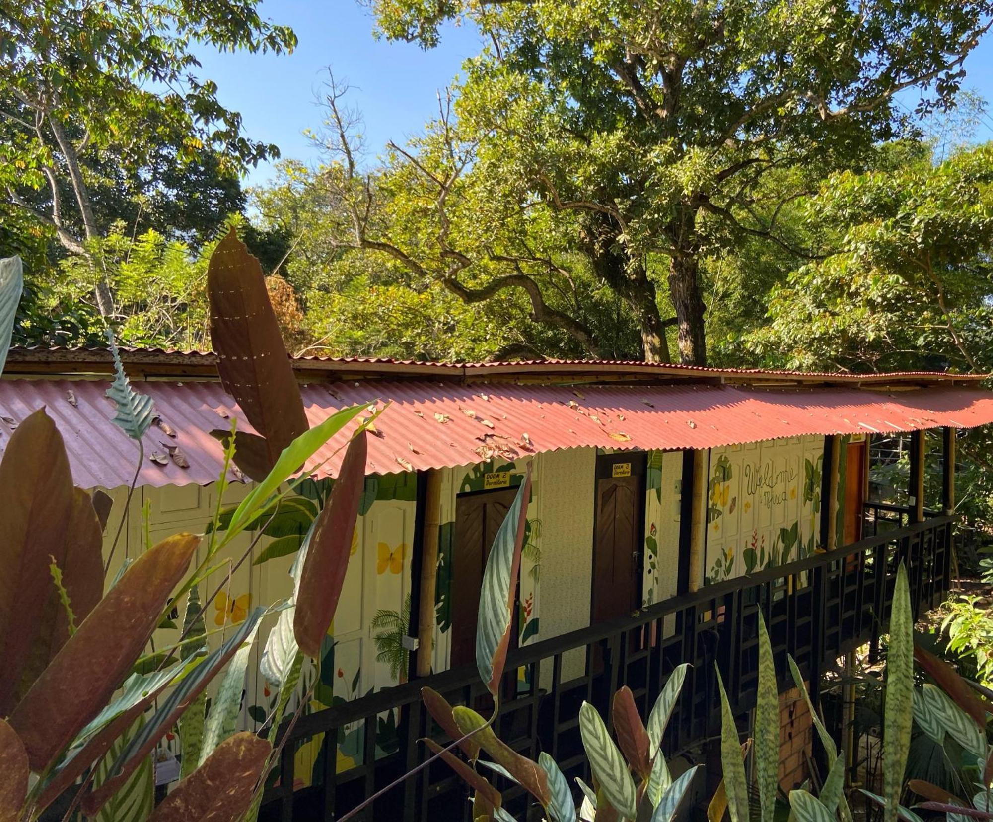 Hostal Las Mariposas مينسا المظهر الخارجي الصورة