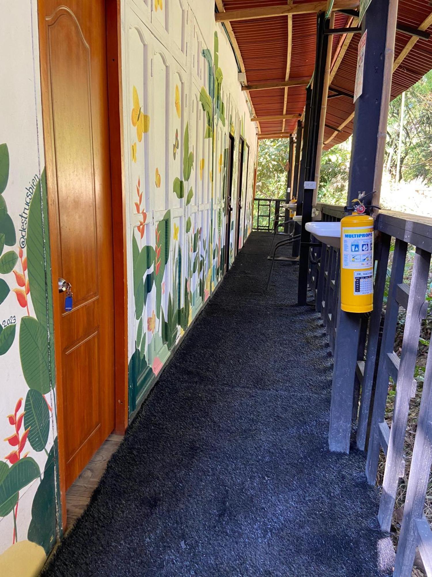 Hostal Las Mariposas مينسا المظهر الخارجي الصورة