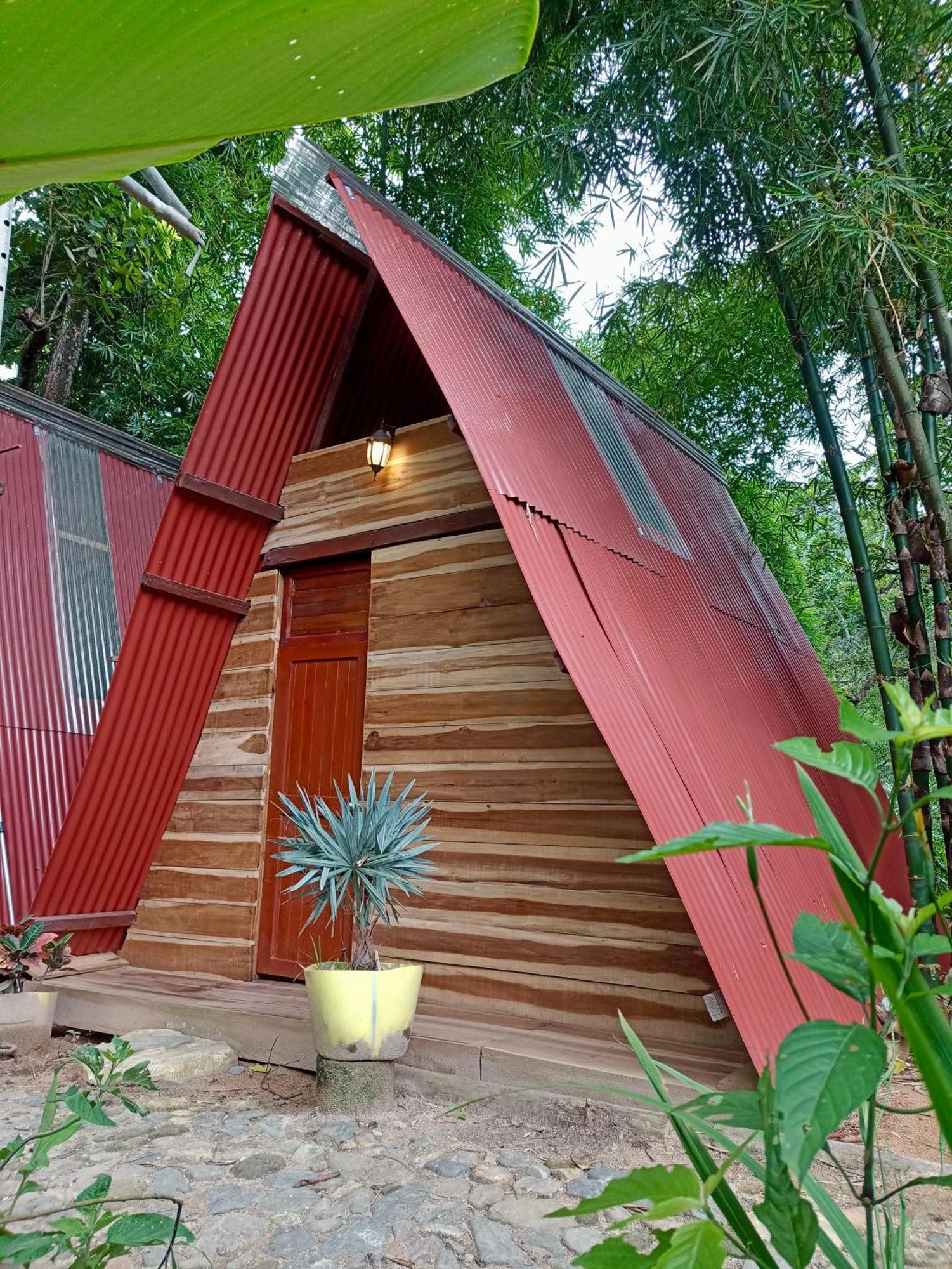 Hostal Las Mariposas مينسا المظهر الخارجي الصورة
