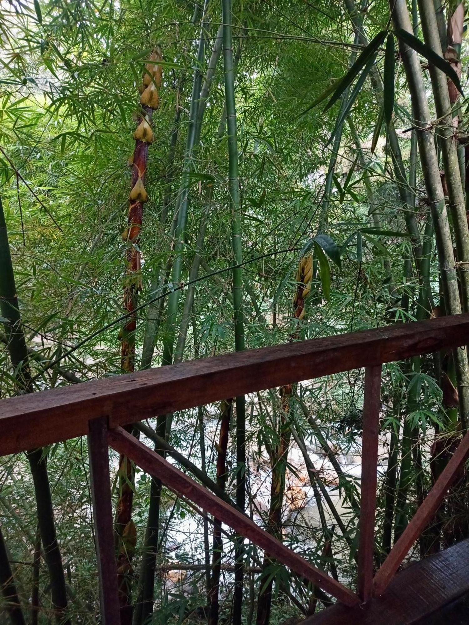 Hostal Las Mariposas مينسا المظهر الخارجي الصورة