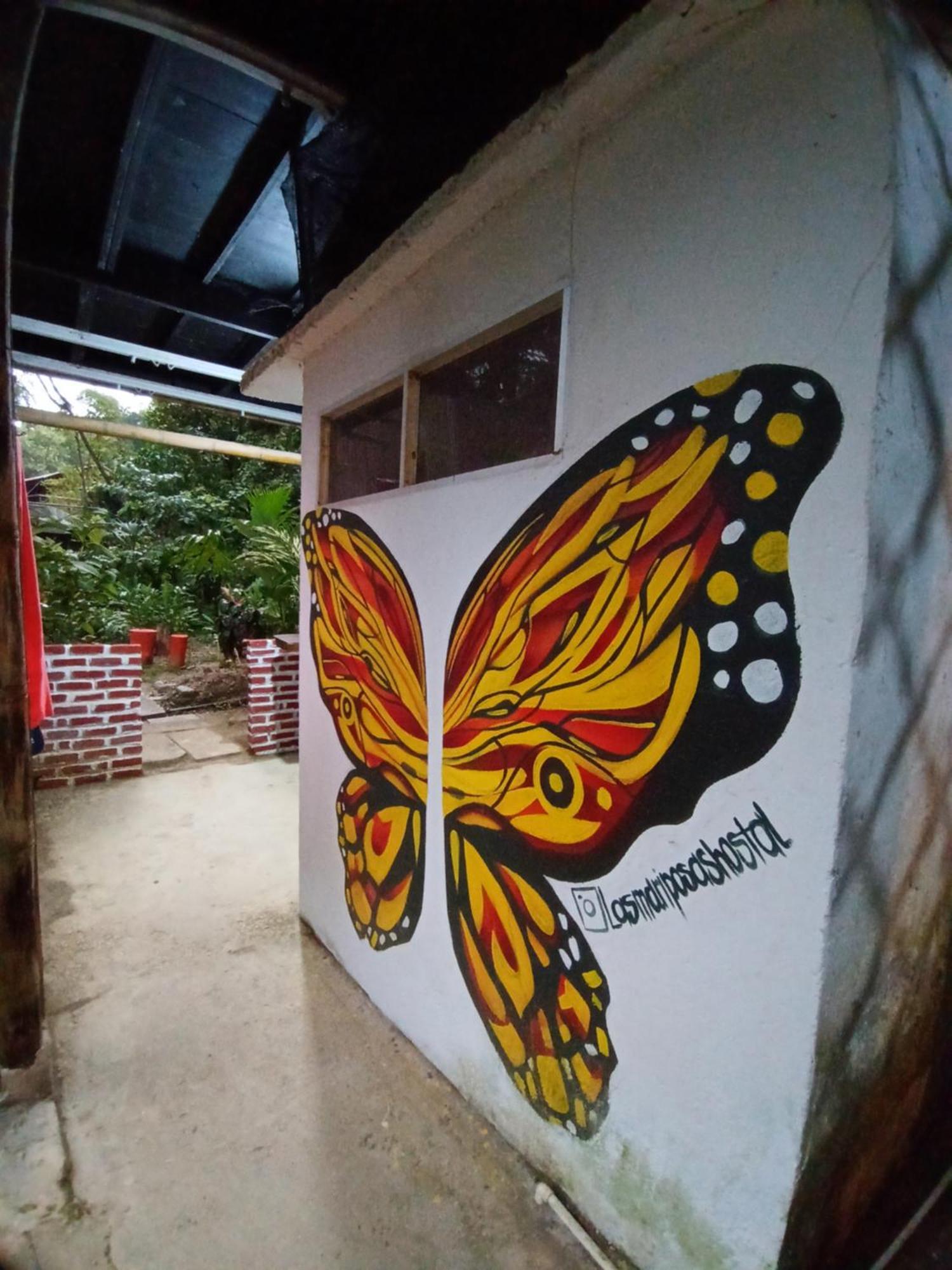 Hostal Las Mariposas مينسا المظهر الخارجي الصورة