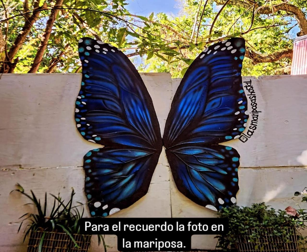 Hostal Las Mariposas مينسا المظهر الخارجي الصورة