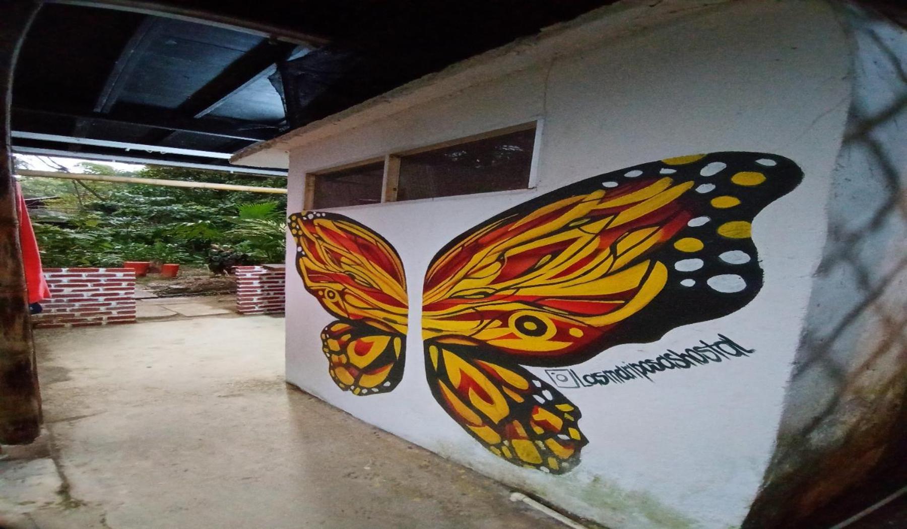 Hostal Las Mariposas مينسا المظهر الخارجي الصورة